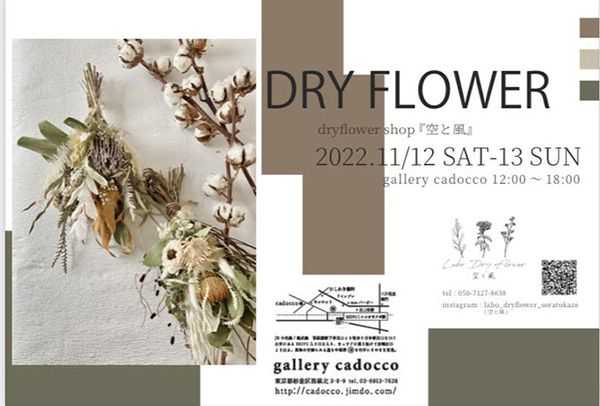 gallery cadocco　dryflower shop 空と風「DRY FLOWER」　